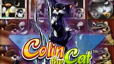 colin the cat